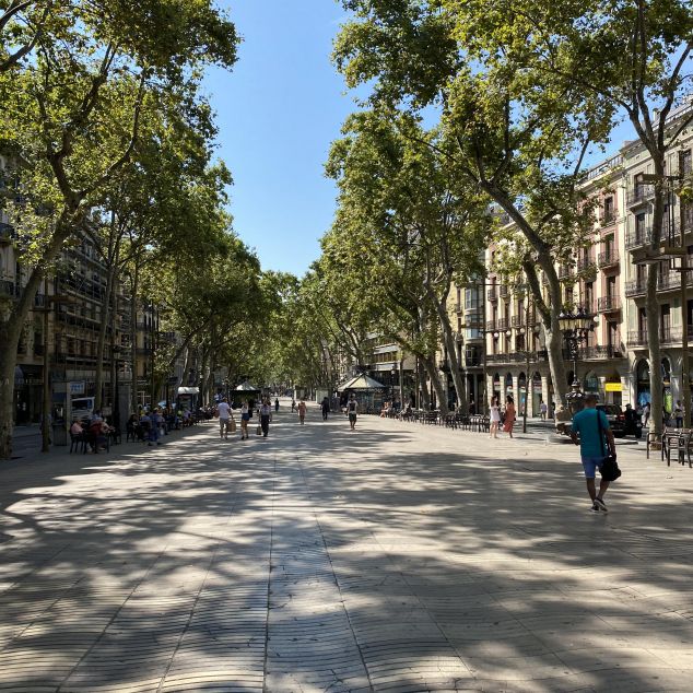 unnamed (5) unnamed (5)