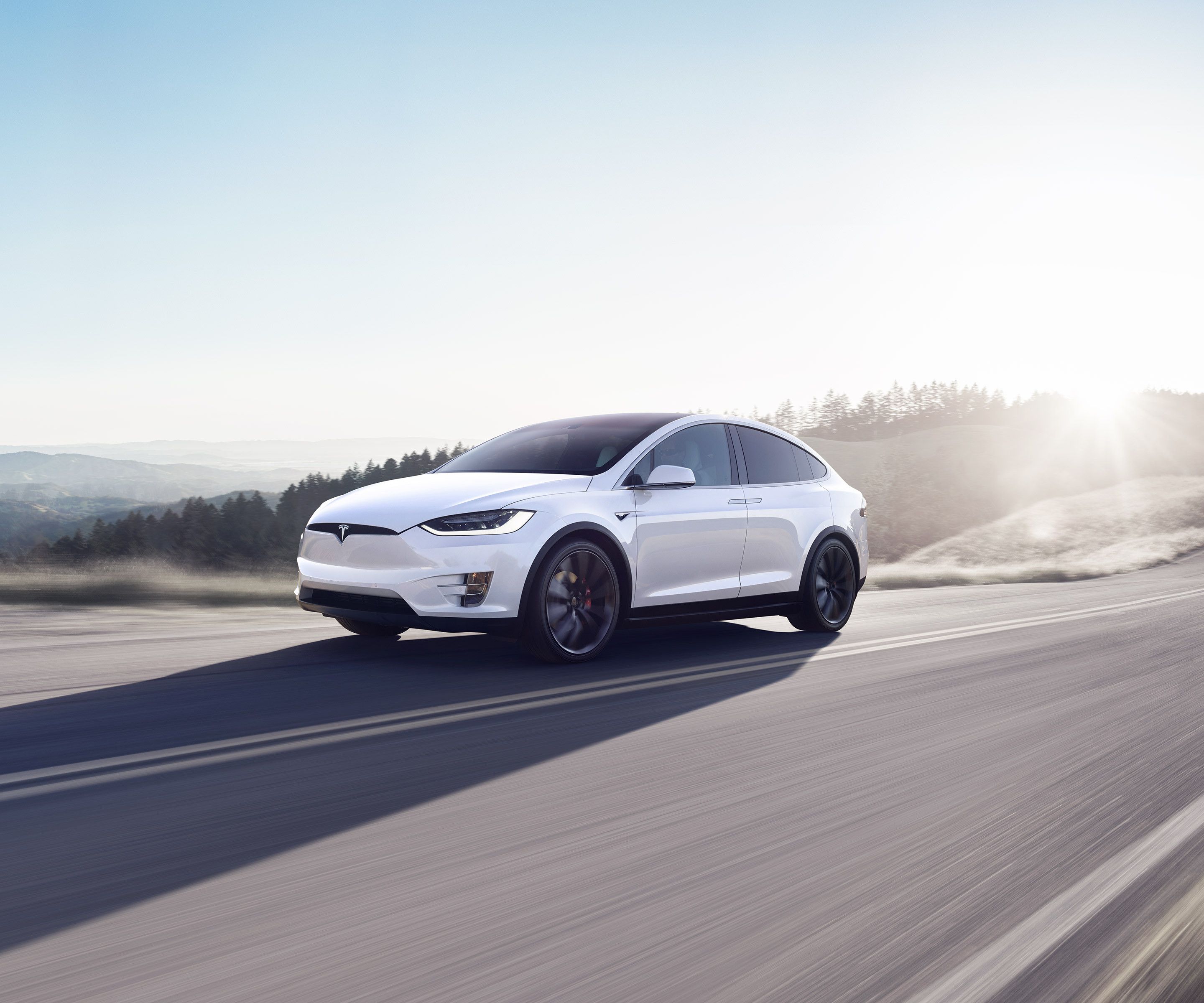 Tesla Model X, un dels vehicles elèctrics d'alta gamma presents actualment.
