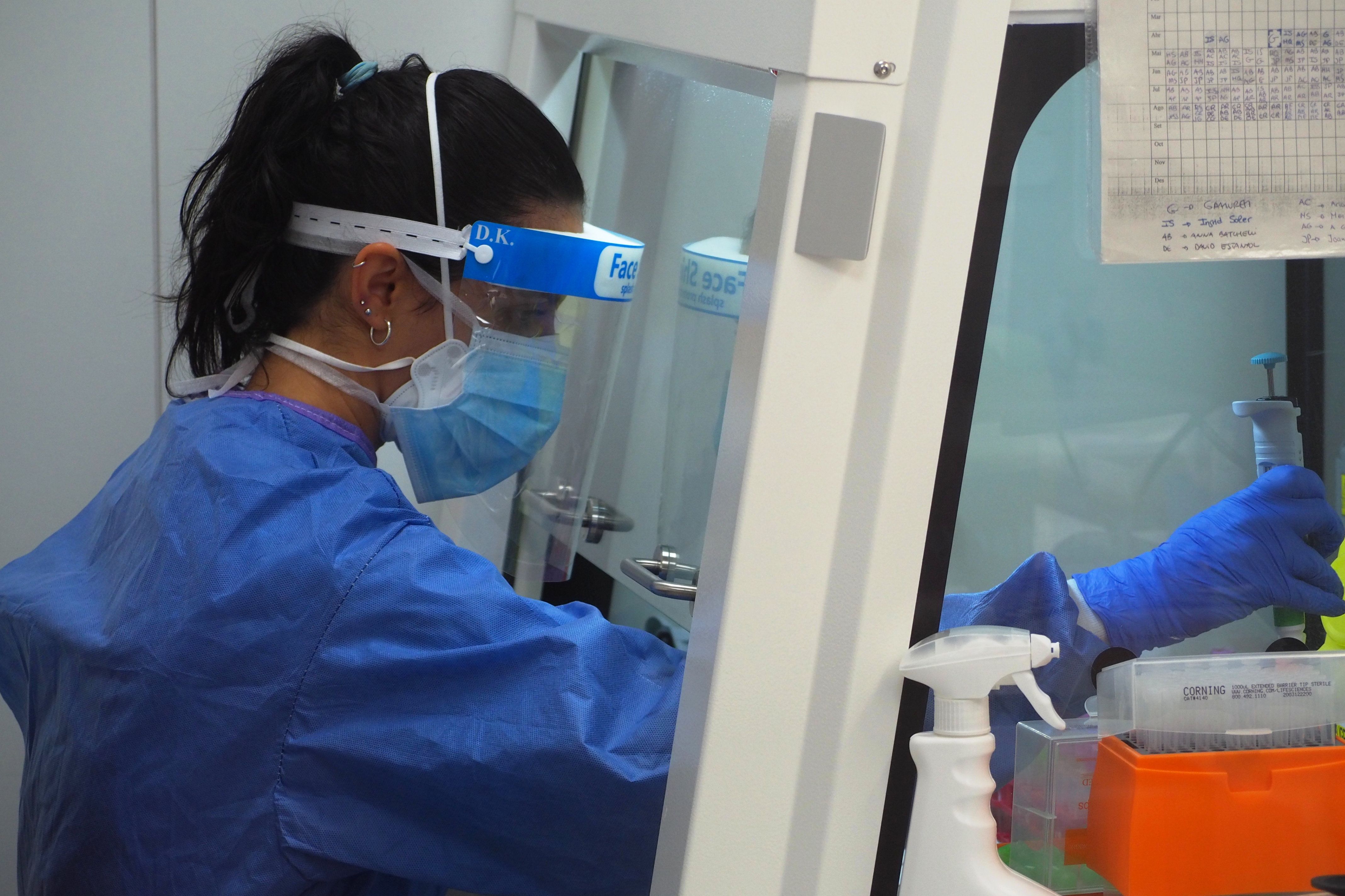 Les proves PCR serveixen per calcular el risc de rebrot