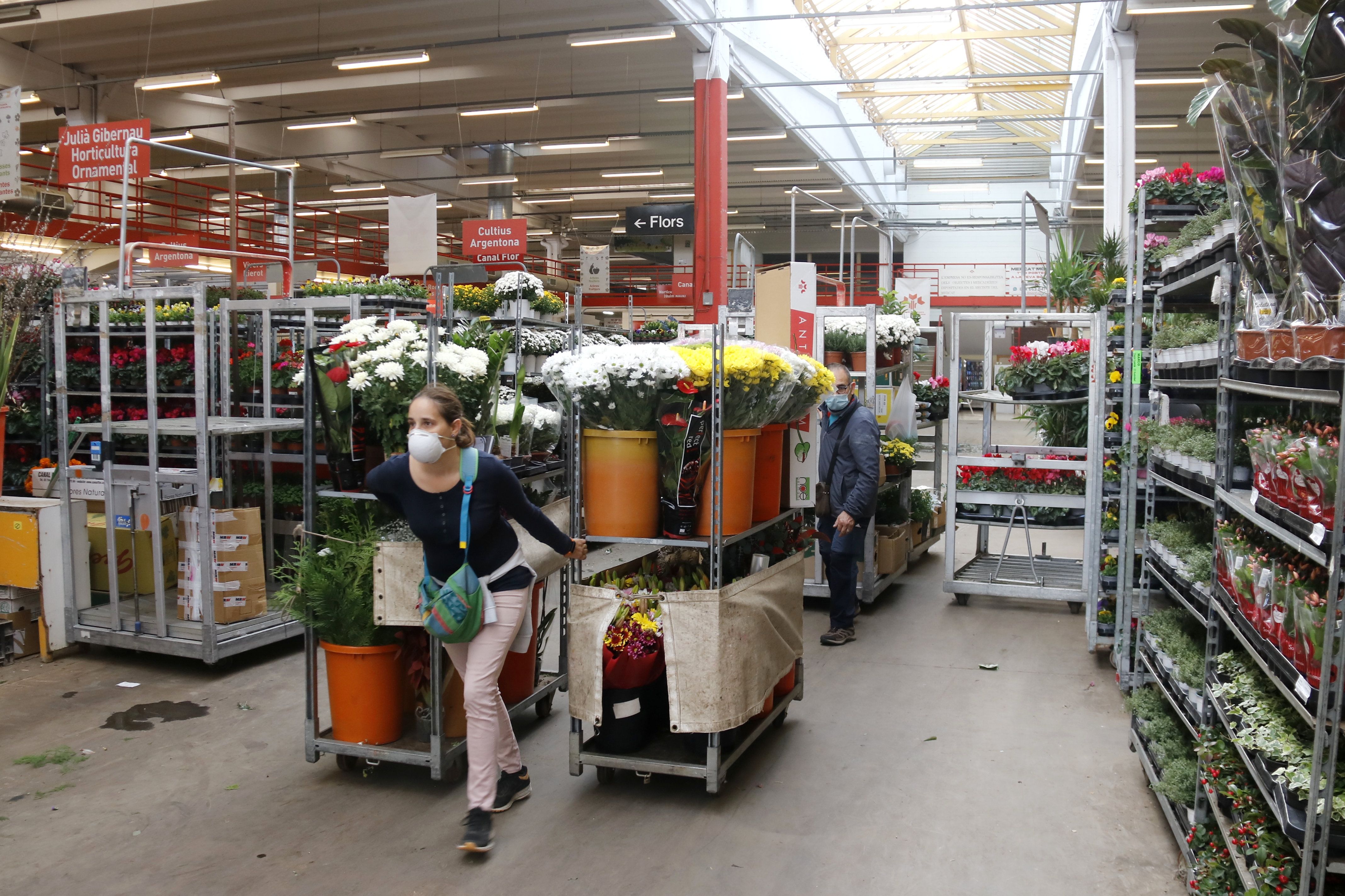 El sector de la flor del Maresme diposita la seva confiança en les campanyes de Nadal i Tots Sants. Foto: Jordi Pujolar - ACN