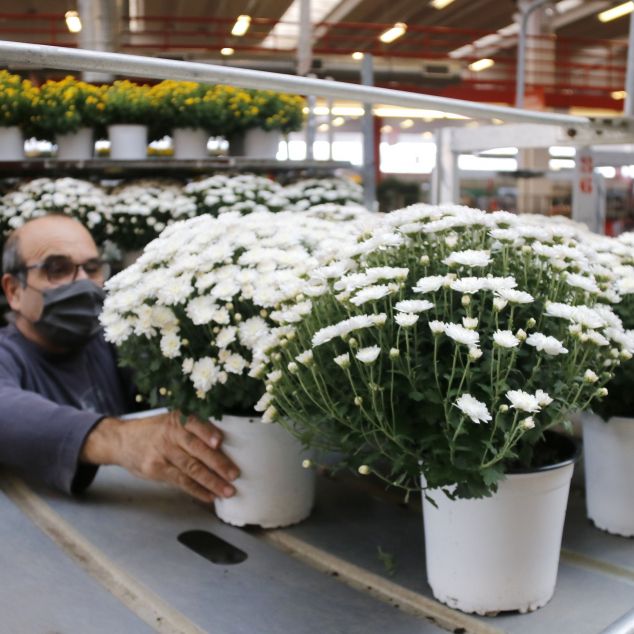 Un dels majoristes del Mercat de la Flor. Foto: Jordi Pujolar - ACN Un dels majoristes del Mercat de la Flor. Foto: Jordi Pujolar - ACN