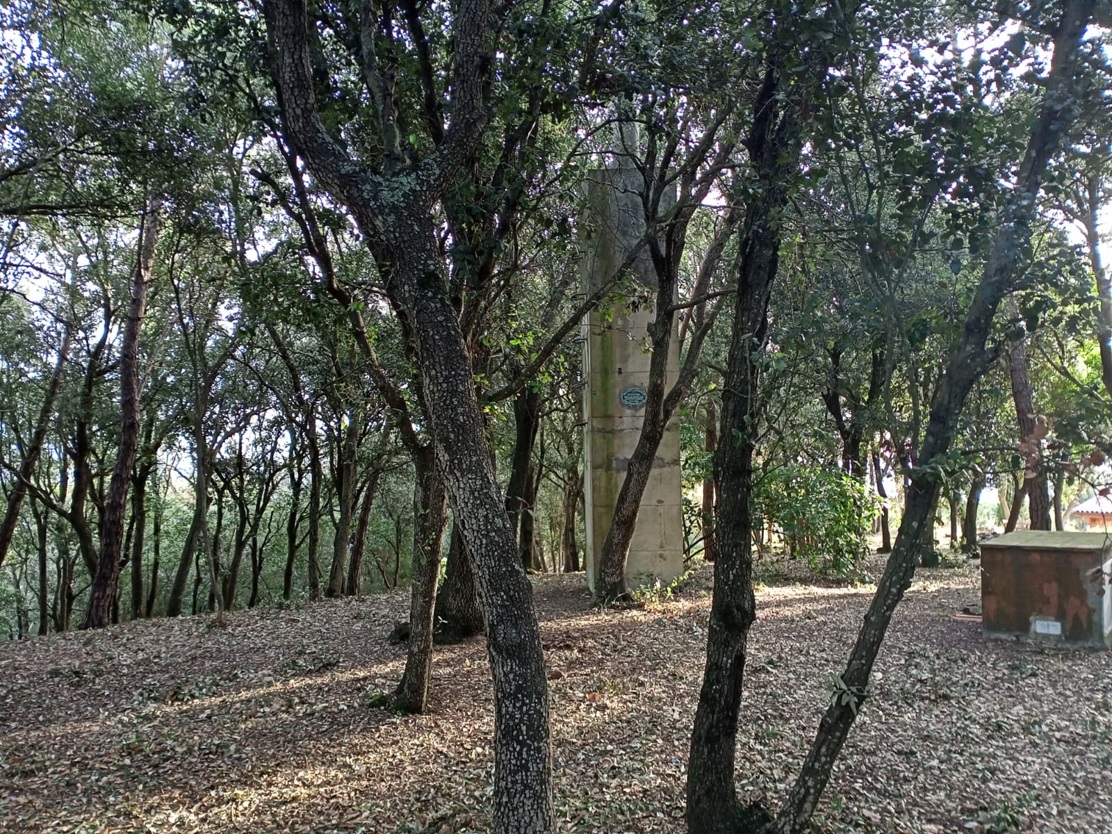 El turó més alt i anònim de Mataró