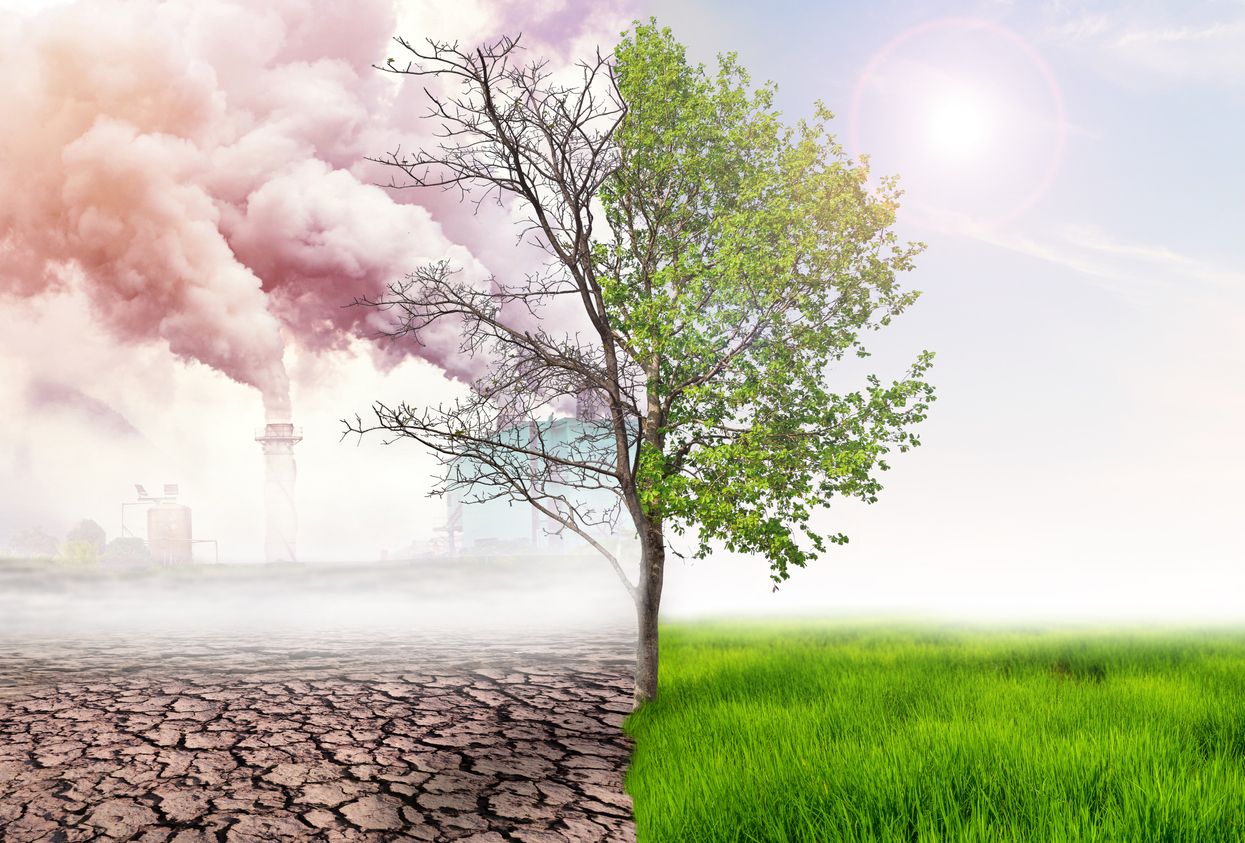 Inversiones contra el cambio climático.