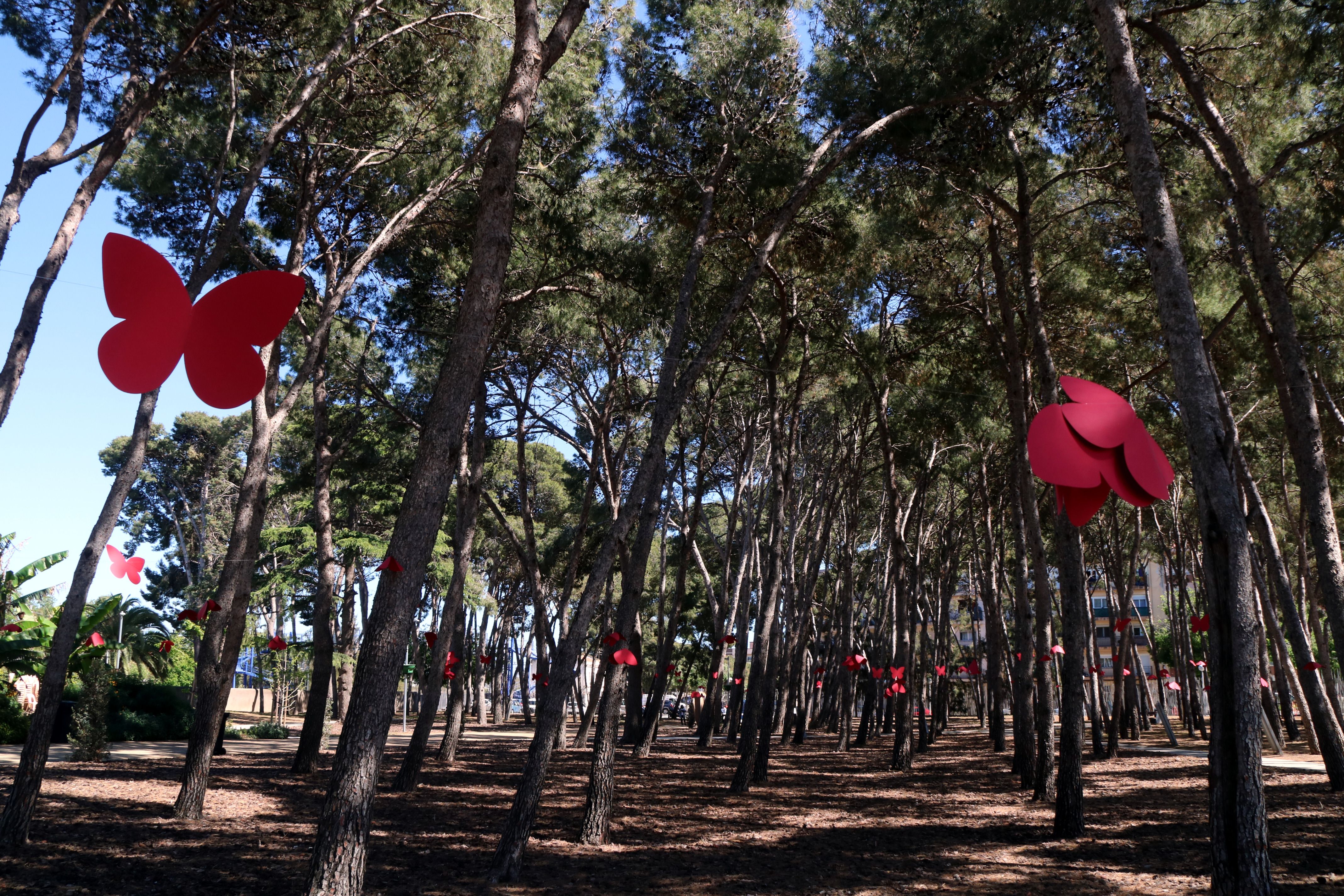 El primer 'bosque de mariposas' de Cataluña es al Maresme