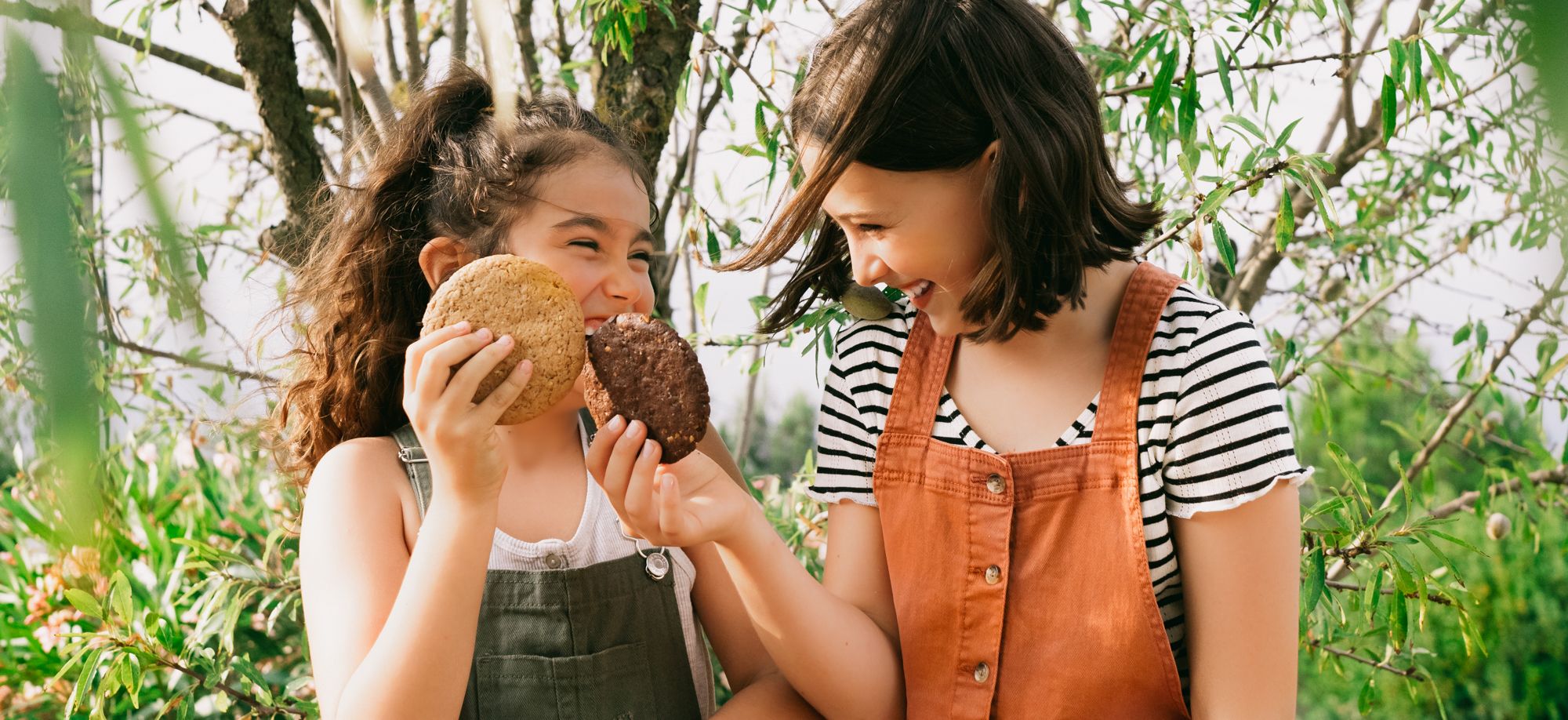 Galletas senes gluten por todo el mundo
