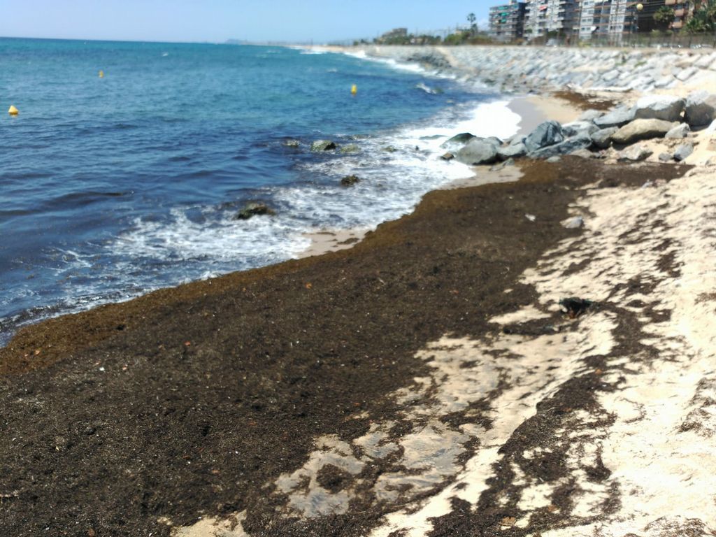 La platja de Vilassar de Mar