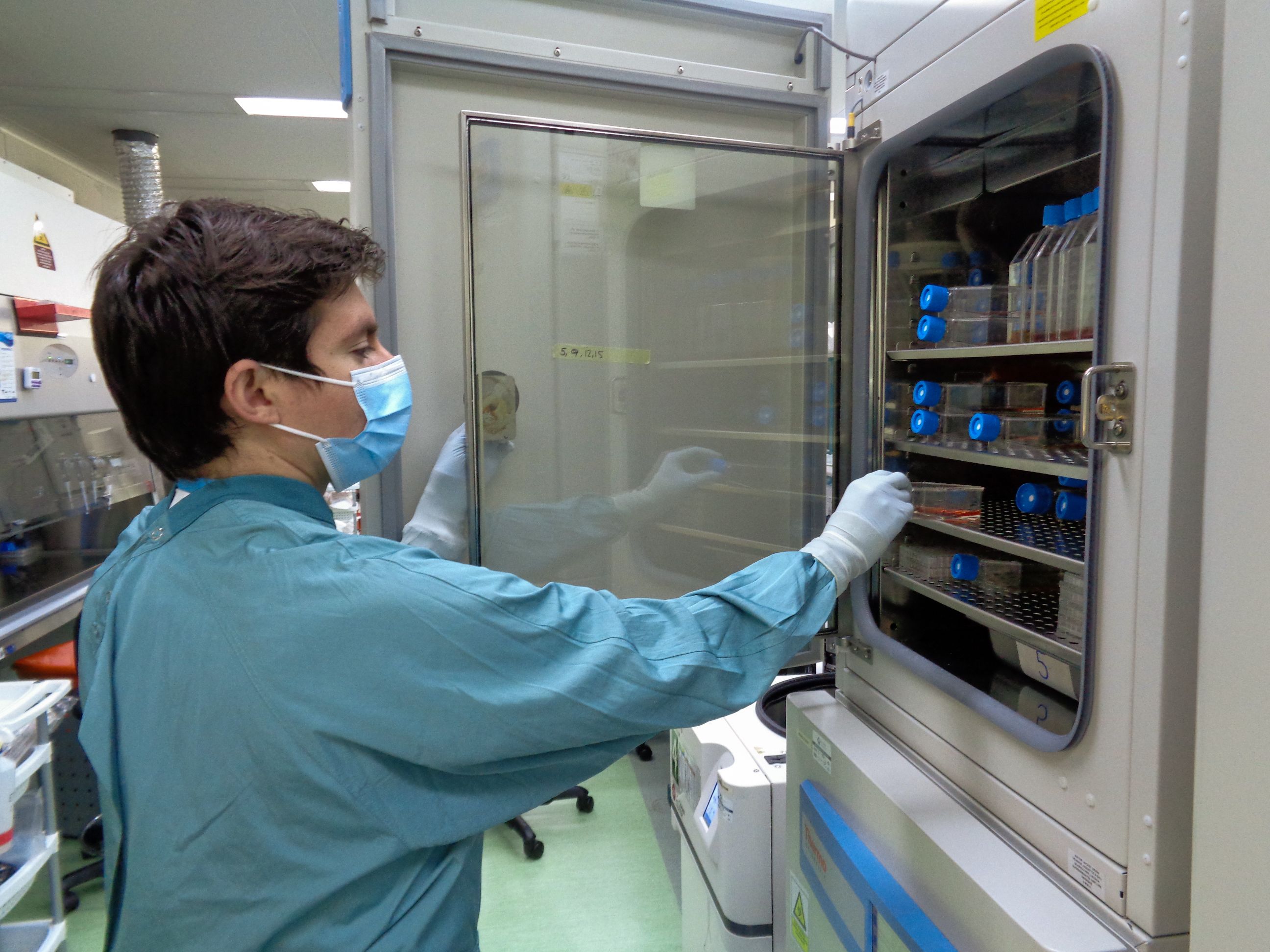 La infecció per covid-19 genera anticossos...