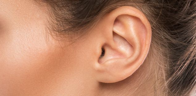 Una tècnica cada cop més estesa en cirurgia de les orelles Una tècnica cada cop més estesa en cirurgia de les orelles