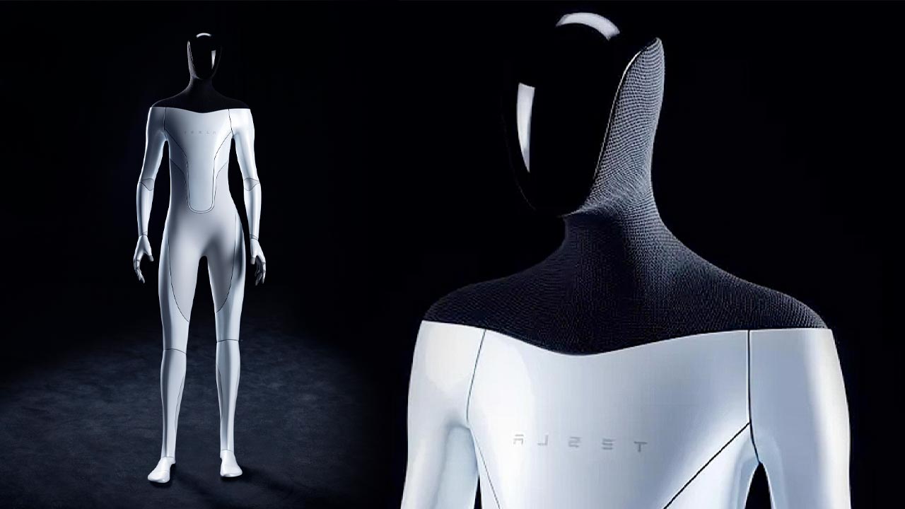 Tesla Bot, al detall.