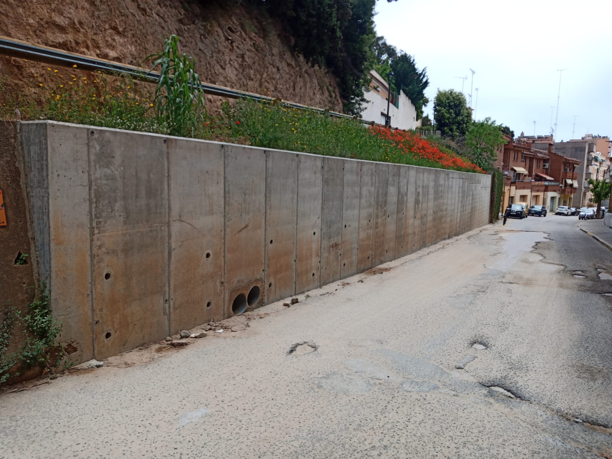 Rial del Bareu. Foto: Ajuntament d'Arenys de Mar