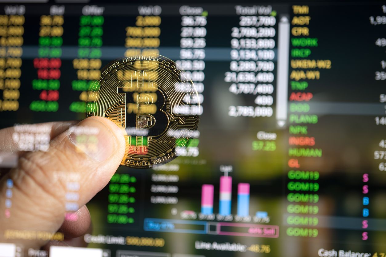 wallets y criptomonedes