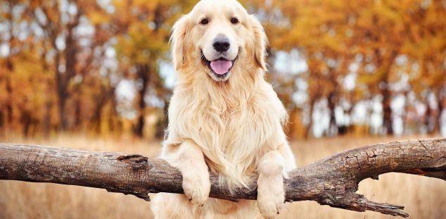 iStock 1181270413 iStock 1181270413