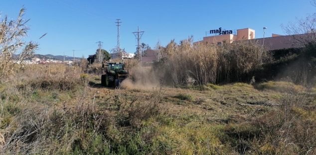 Netegen la riera d'Argentona per minimitzar el risc d'inundacions i d'incendis. Foto: Ajuntament Netegen la riera d'Argentona per minimitzar el risc d'inundacions i d'incendis. Foto: Ajuntament