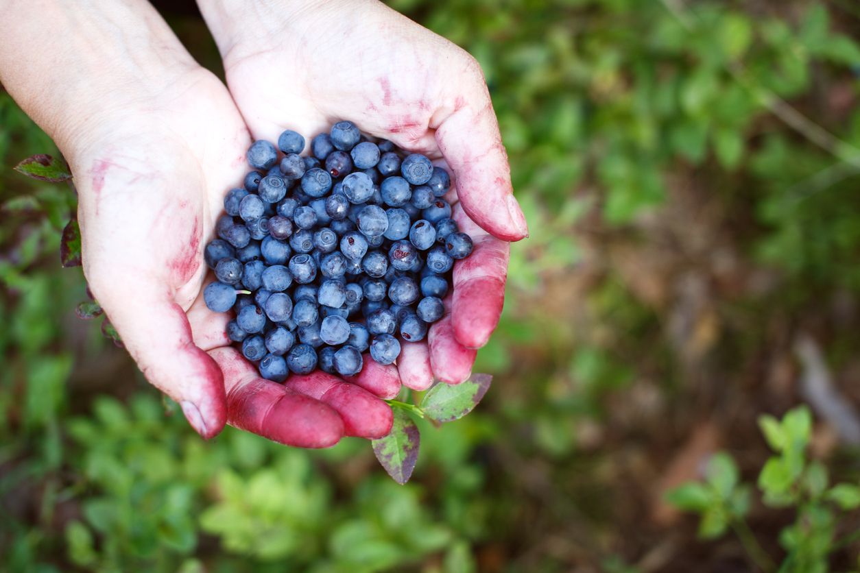 Aliments per desinflar l’abdomen