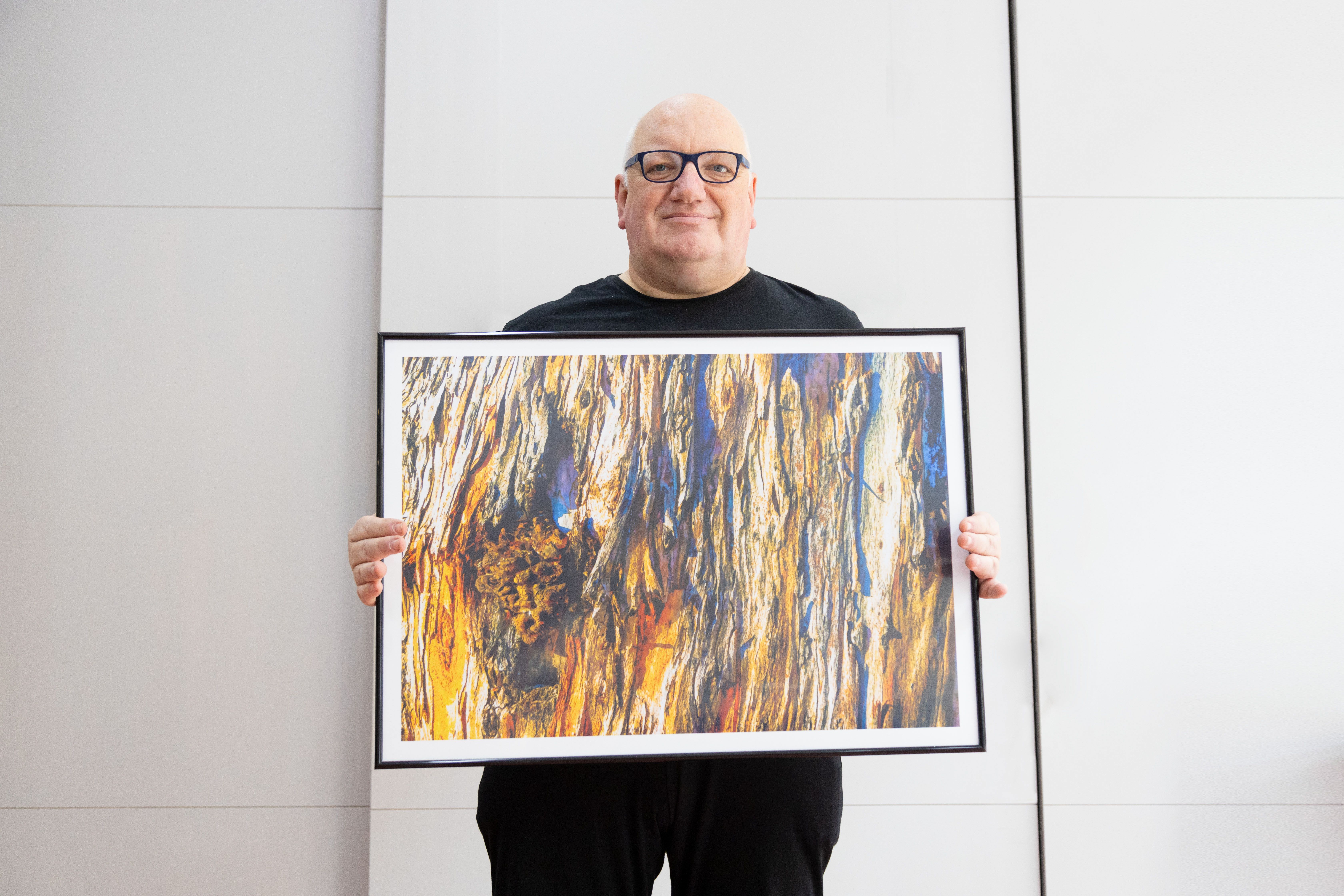 Les textures dels eucaliptus del Parc 