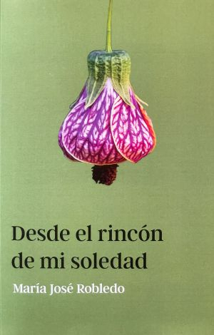 desde el rincon de mi soledad desde el rincon de mi soledad