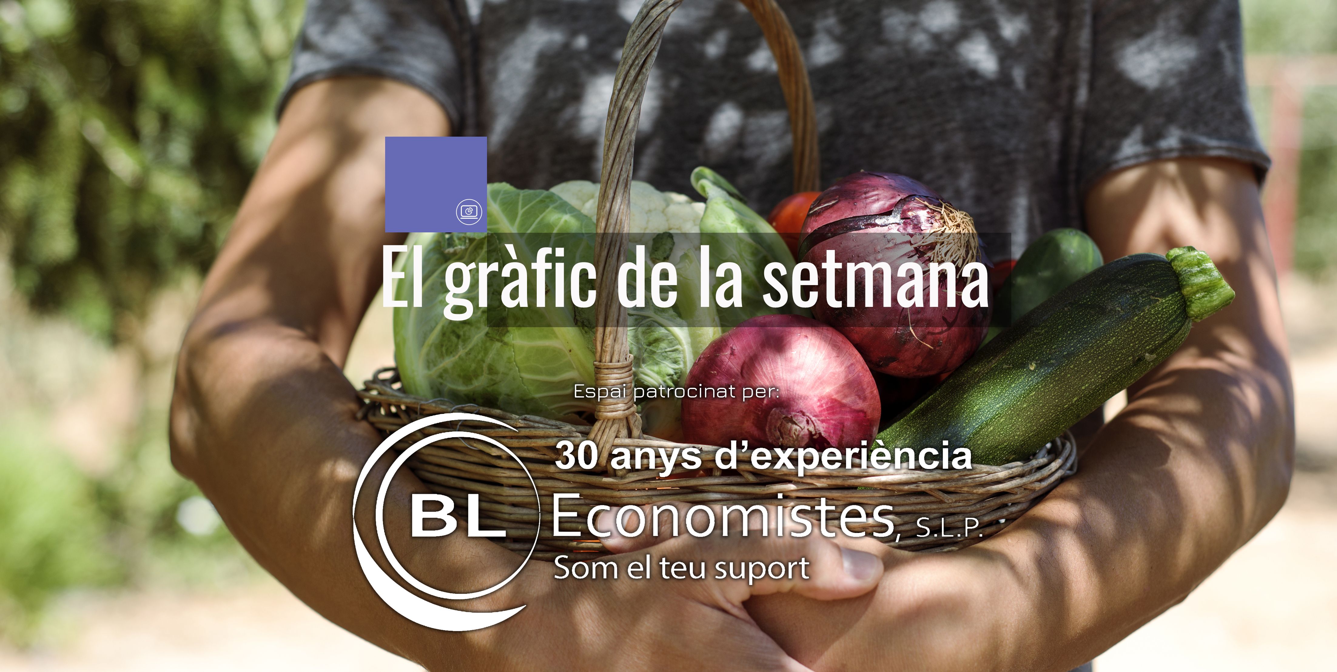 portada grafic bleconomisteslila
