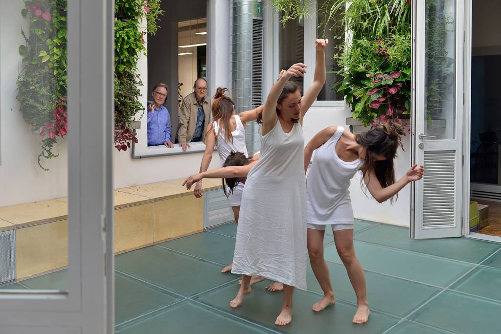 Dans in vitro organitza el 29 és dansa el divendres 29 d'abril