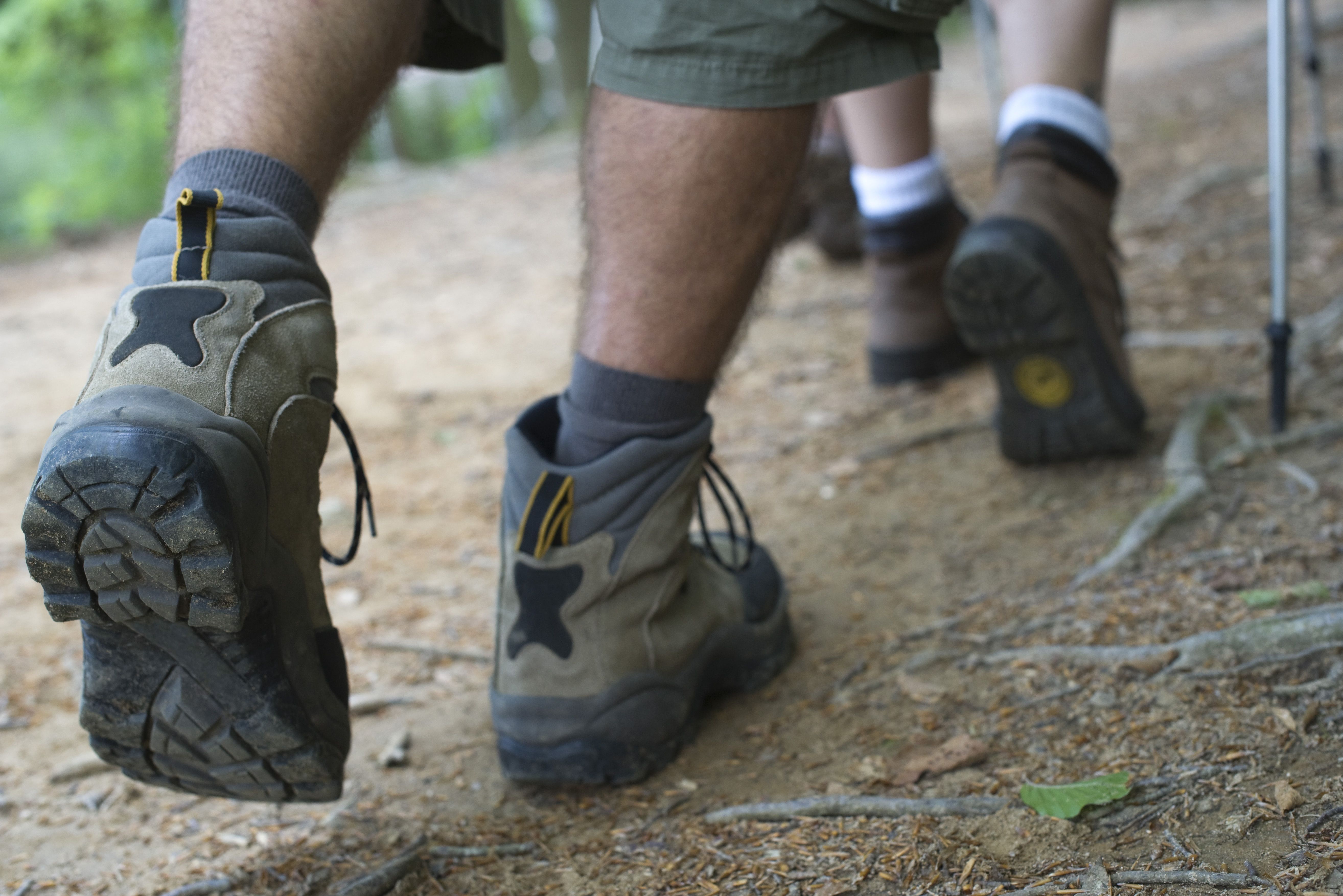 Cal seguir uns consells bàsics per sortir a caminar per boscos i muntanyes