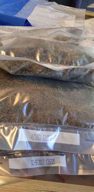 FSFiOK XIAI1pMK FSFiOK XIAI1pMK