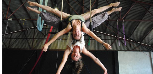 Ensayo de Cronopis a Fàbregas de papel