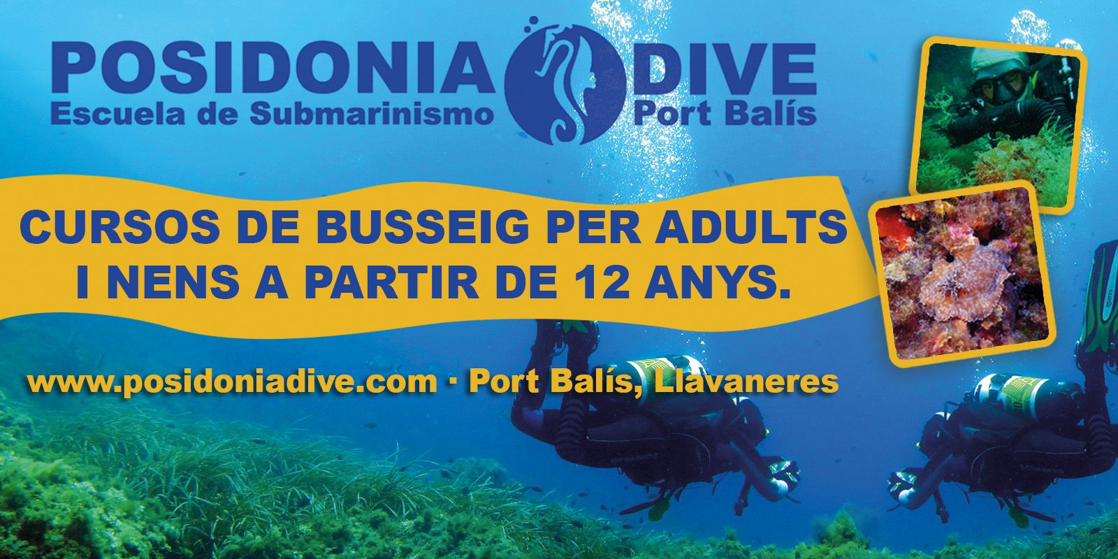 Posidonia