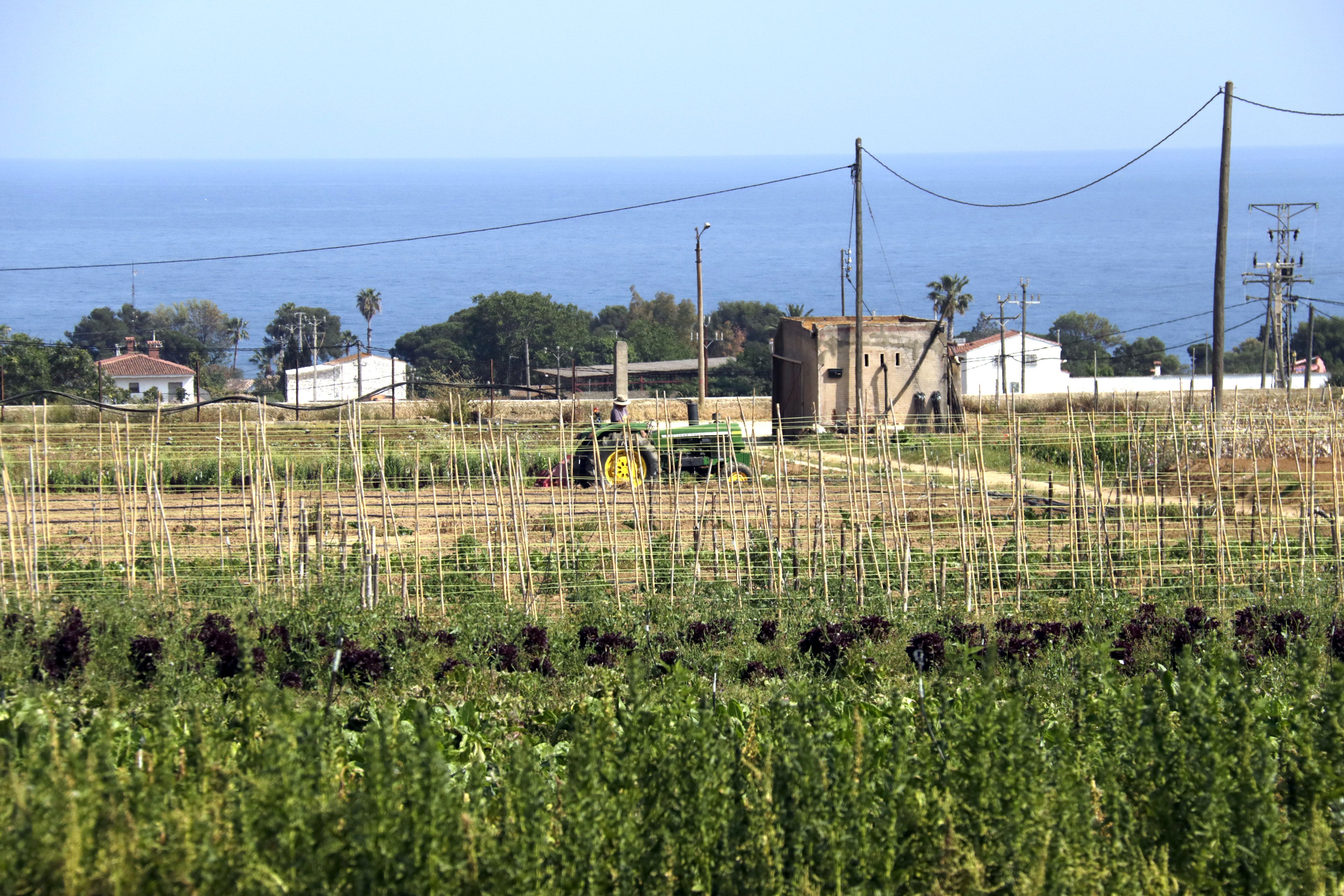 aacbc1fc 0cd4 434a 9702 e72d266c367d