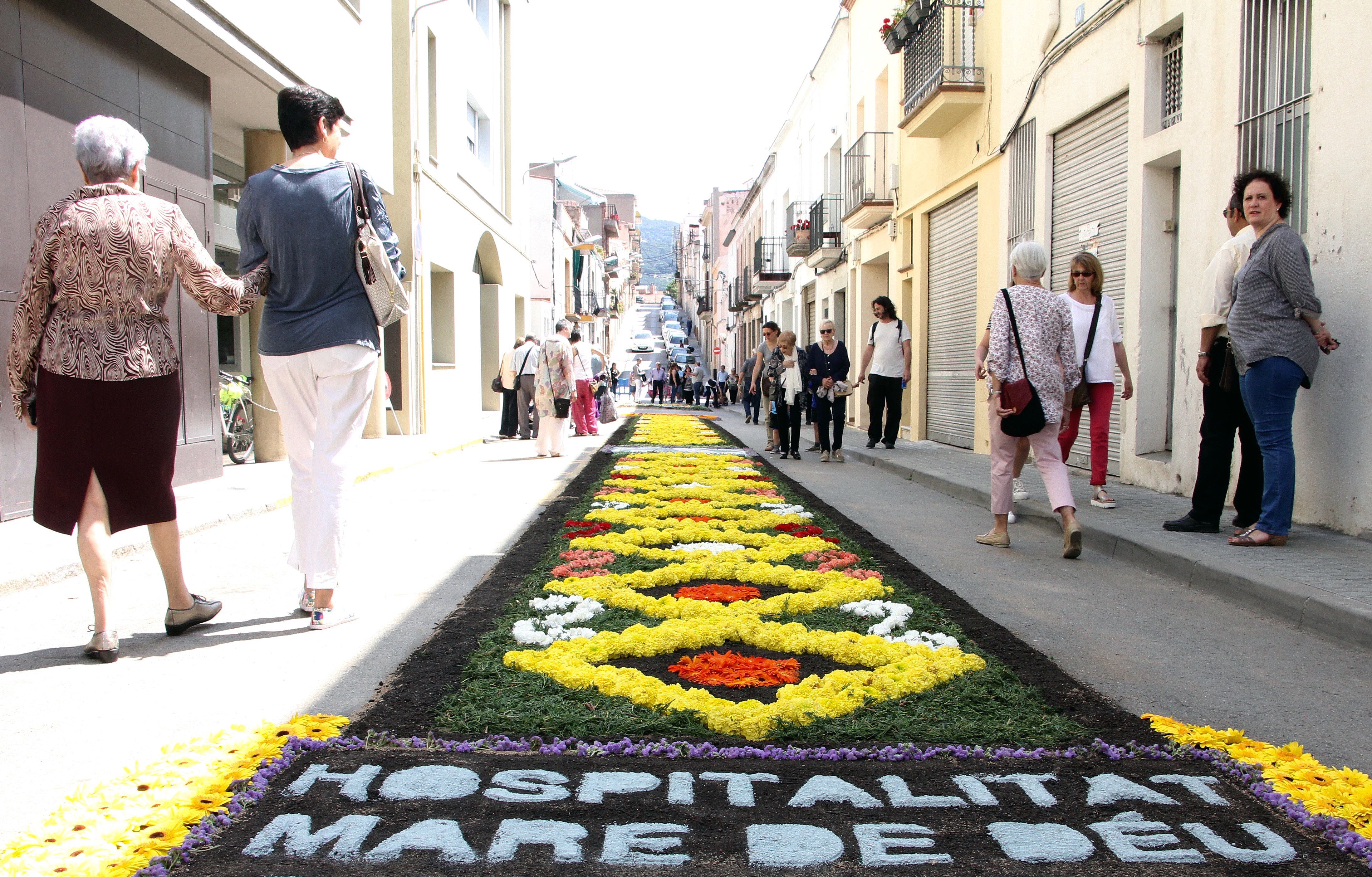 Catifa de flors a un carrer d'Argentona