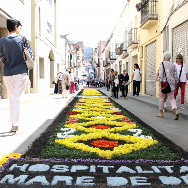 Catifa de flors a un carrer d'Argentona Catifa de flors a un carrer d'Argentona