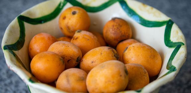 La nespra, una de les fruites de la primavera La nespra, una de les fruites de la primavera