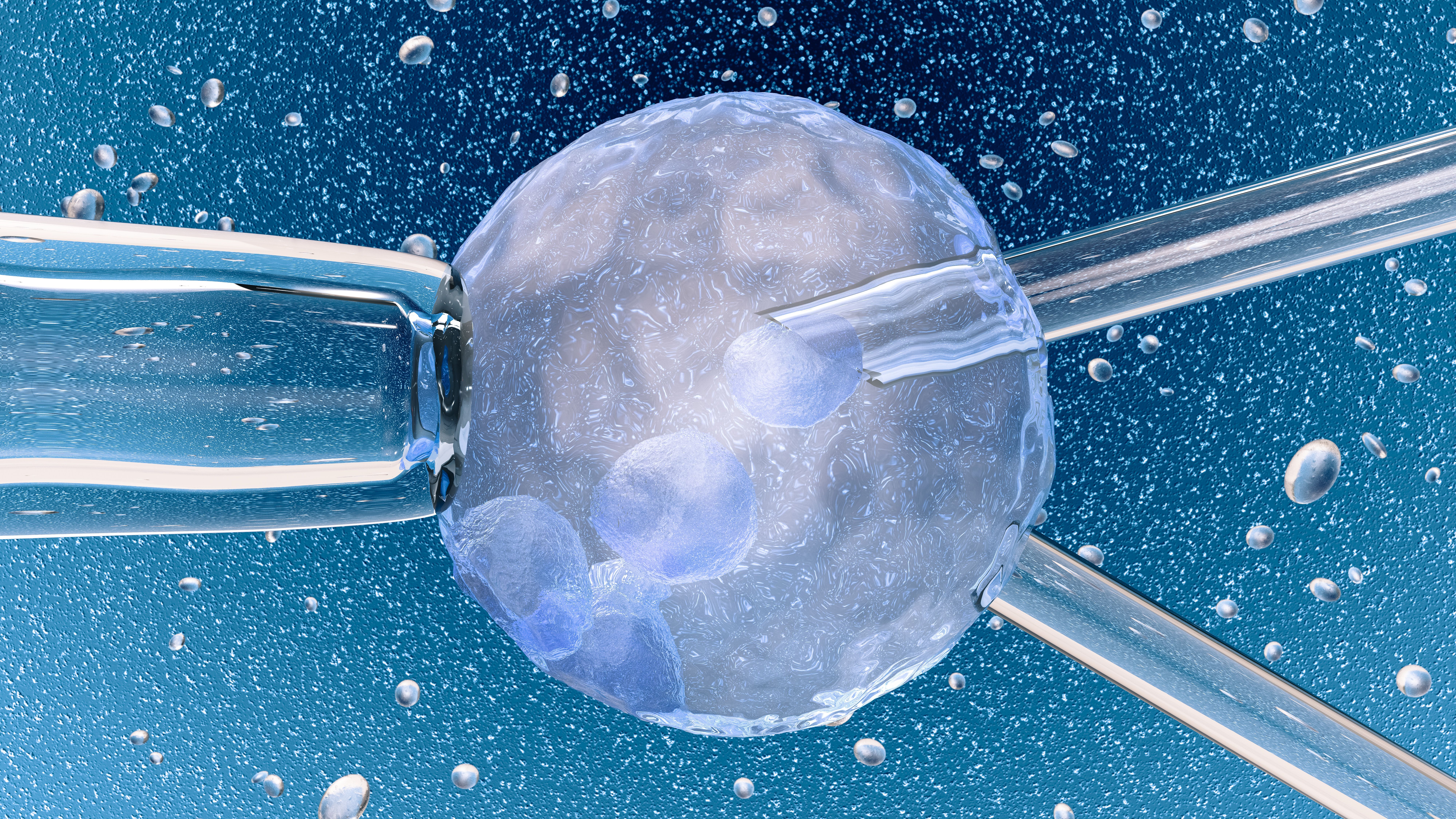 Els Tractaments de fertilitat: tot el que cal saber