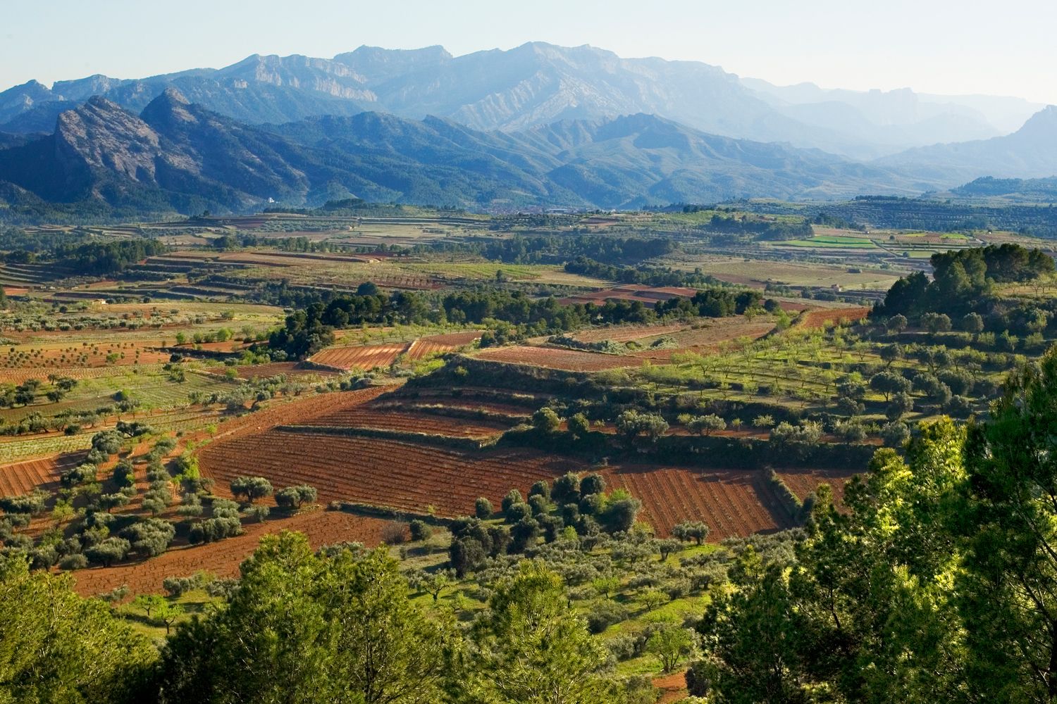 terra alta 2