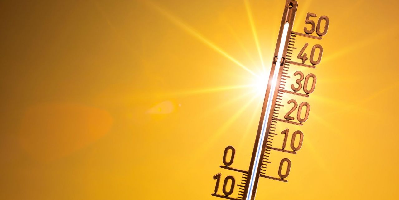 Com combatre les altes temperatures de l’estiu