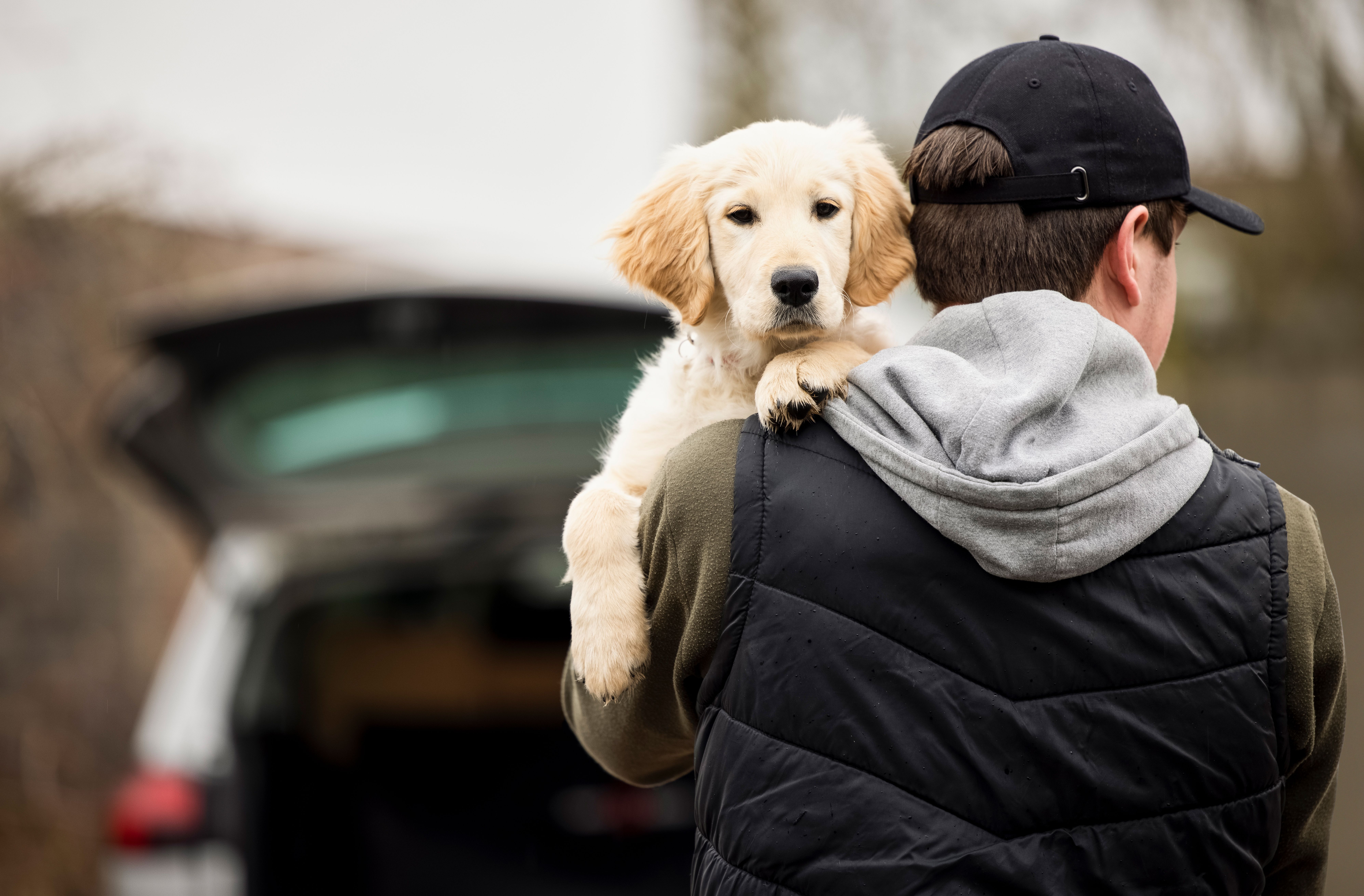 iStock 1300362661