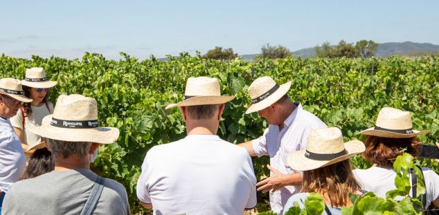 16 activitats enoturístiques a la Verema del Cava 16 activitats enoturístiques a la Verema del Cava