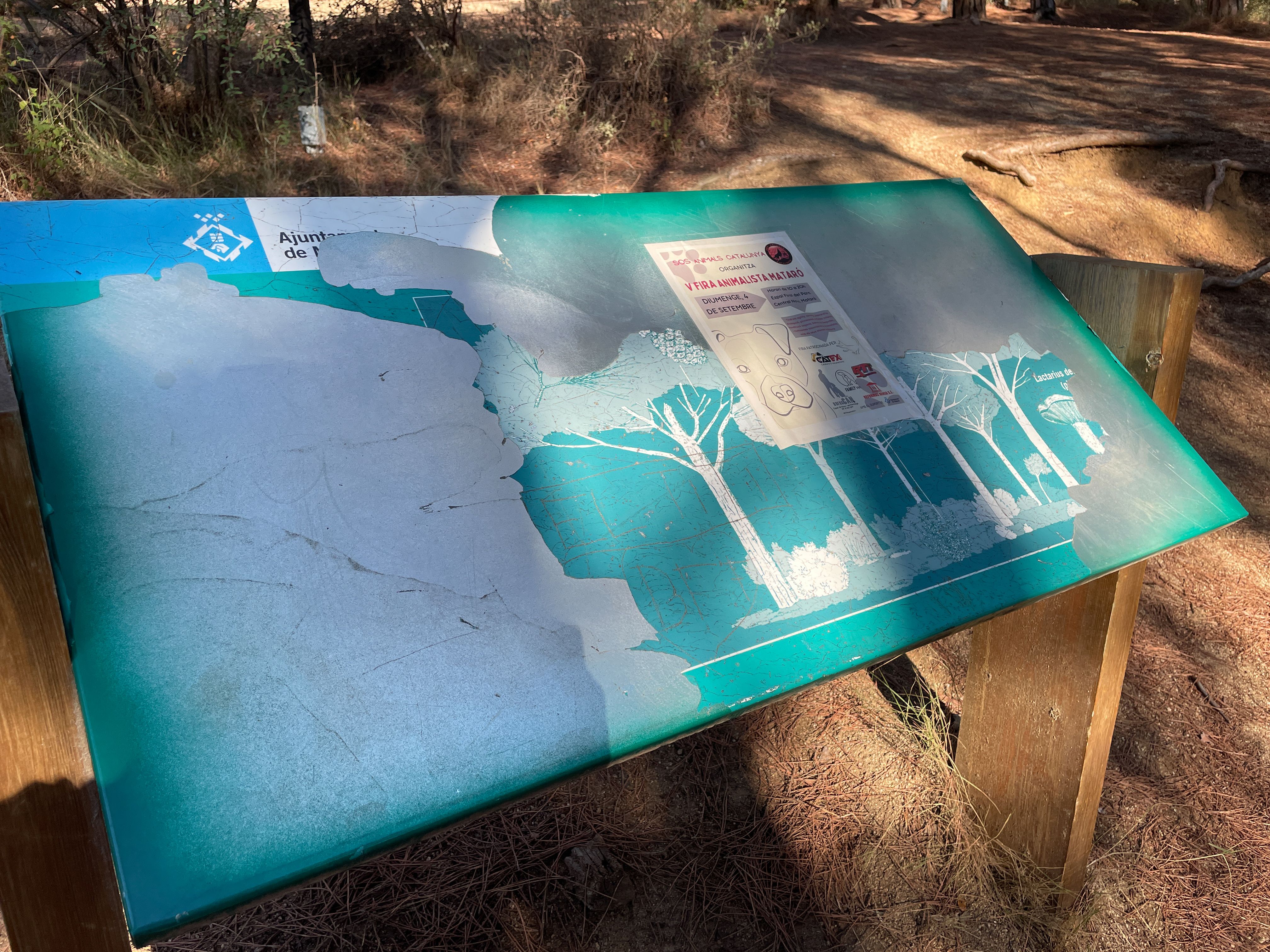 Mapa de situació del Parc Forestal. Foto: R. Gallofré