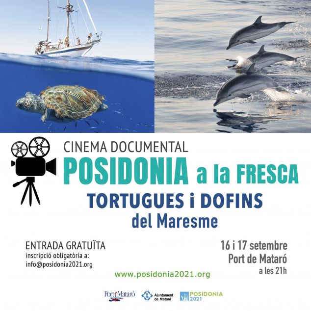 POSTER 30X30 POSTER 30X30