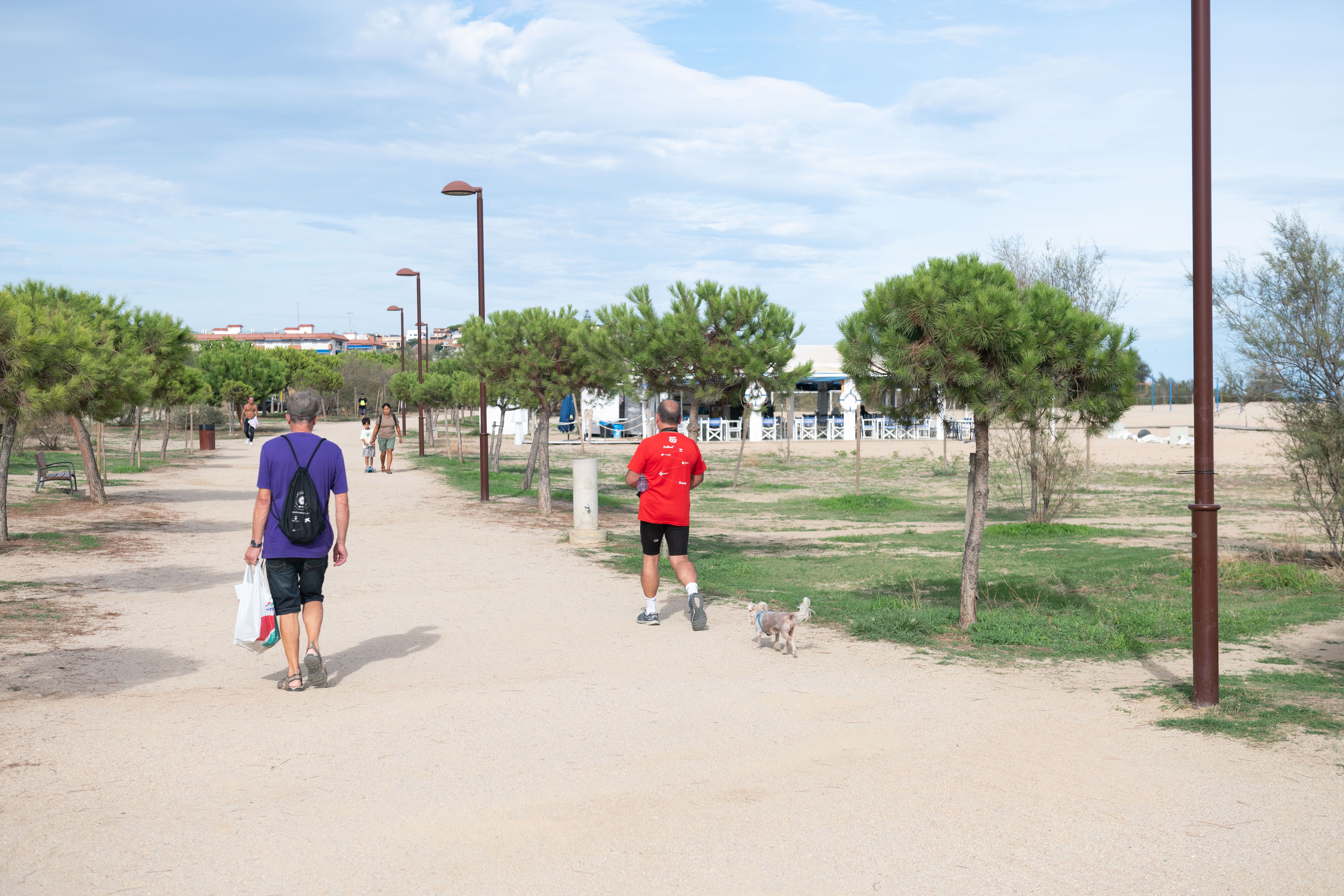 Les platges d’Arenys de Mar han recuperat la flora i la fauna que els són característiques, amb l’ajut dels alumnes de la vila