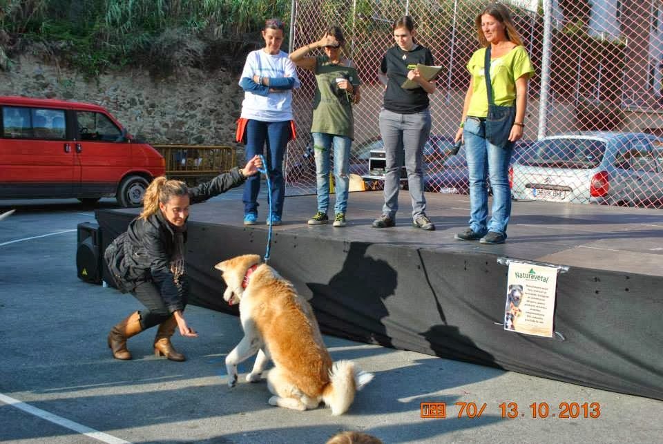 Fira AnimalNatural