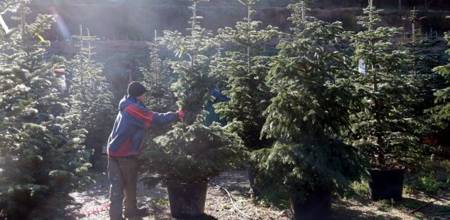 ebde0b03 8ea4 4149 8586 9d88c2edc4e6