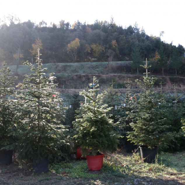 6f8c84c2 0872 4505 9add c20c4b9e0503