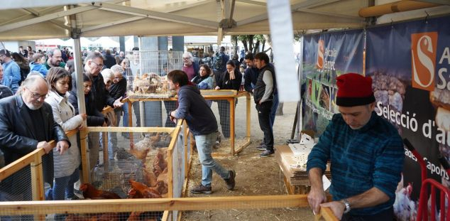 El típic: comprar-hi el que cuinaràs per Nadal El típic: comprar-hi el que cuinaràs per Nadal