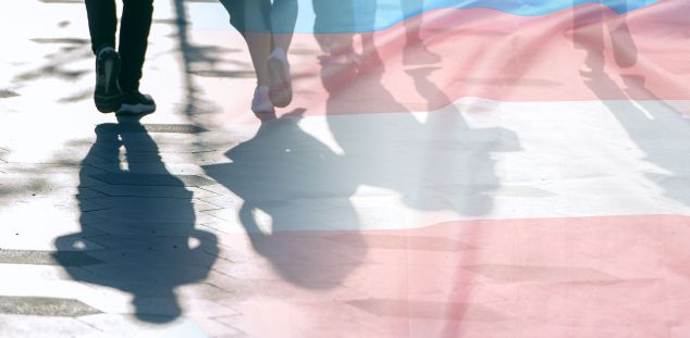 La bandera de la visibilitat trans La bandera de la visibilitat trans