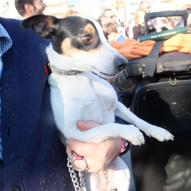 Tres Tombs 2023. Foto: C.Francés