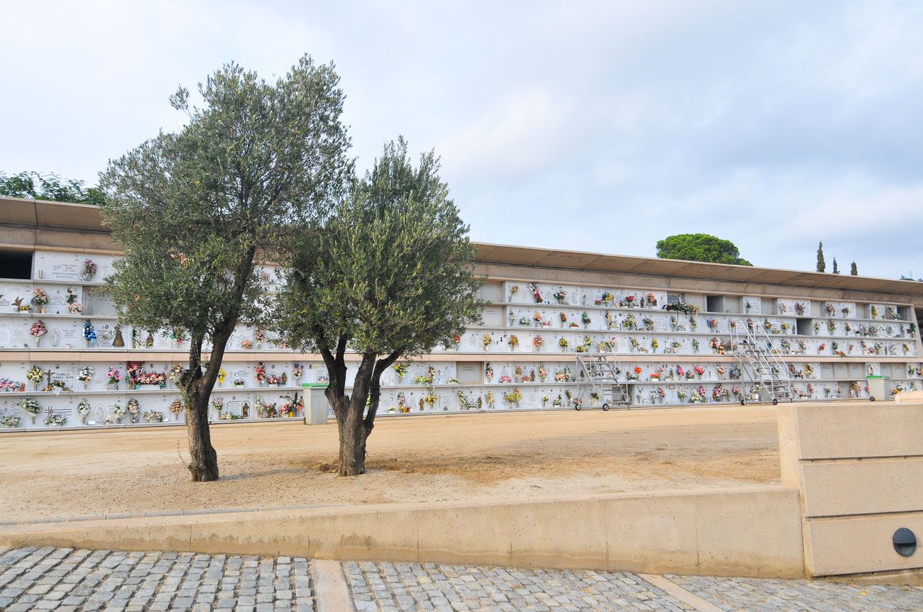 El cementerio de las Valls. Foto: R.Gallofré