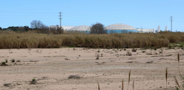 La zona on es construirà una mota de protecció La zona on es construirà una mota de protecció
