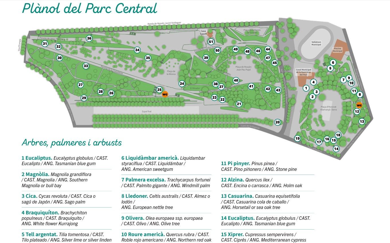 Plànol dels arbres del Parc Central