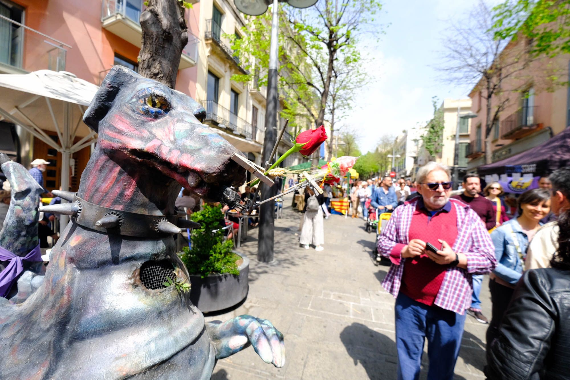 Sant Jordi 2023. Foto: R.Gallofré Sant Jordi 2023. Foto: R.Gallofré