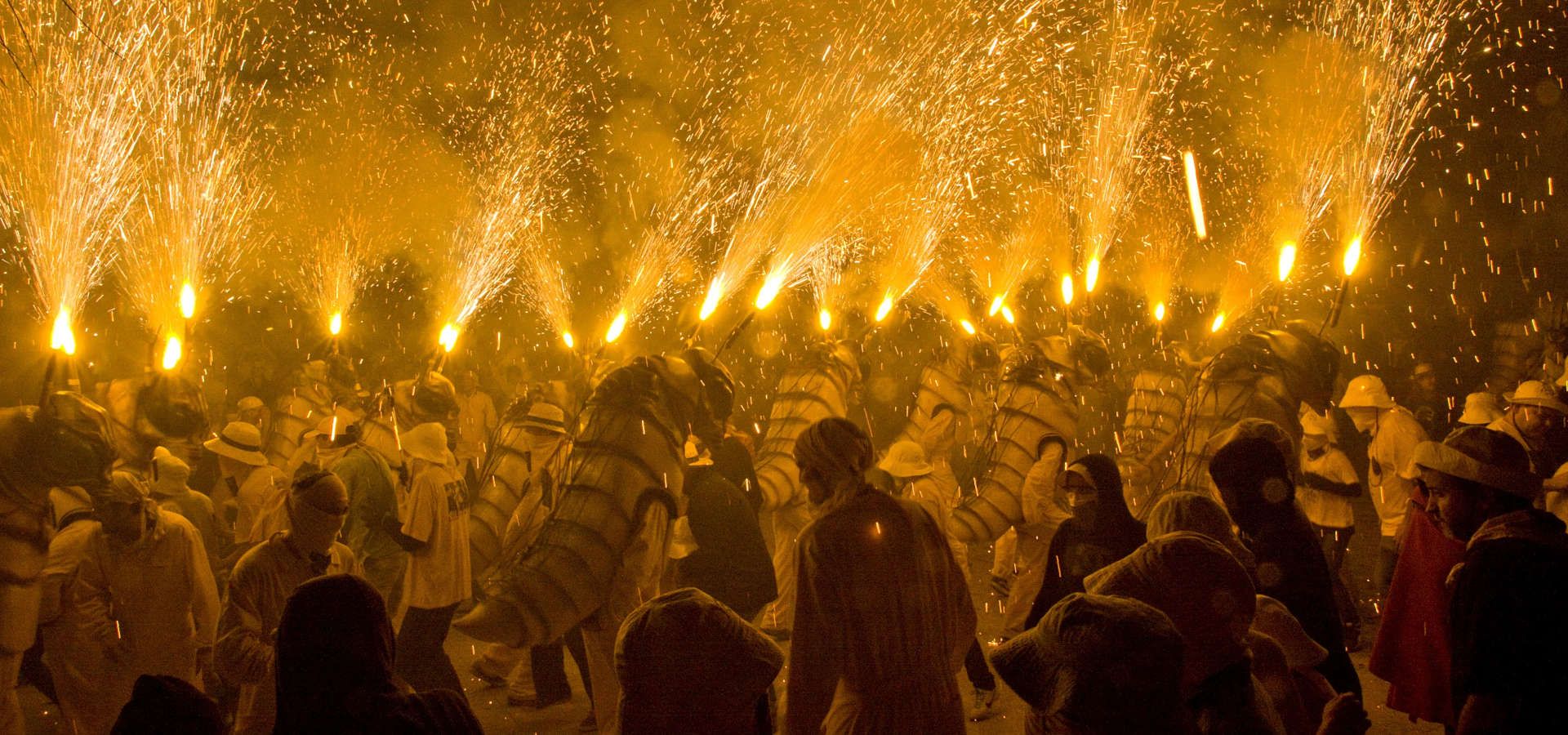 filoxera foc