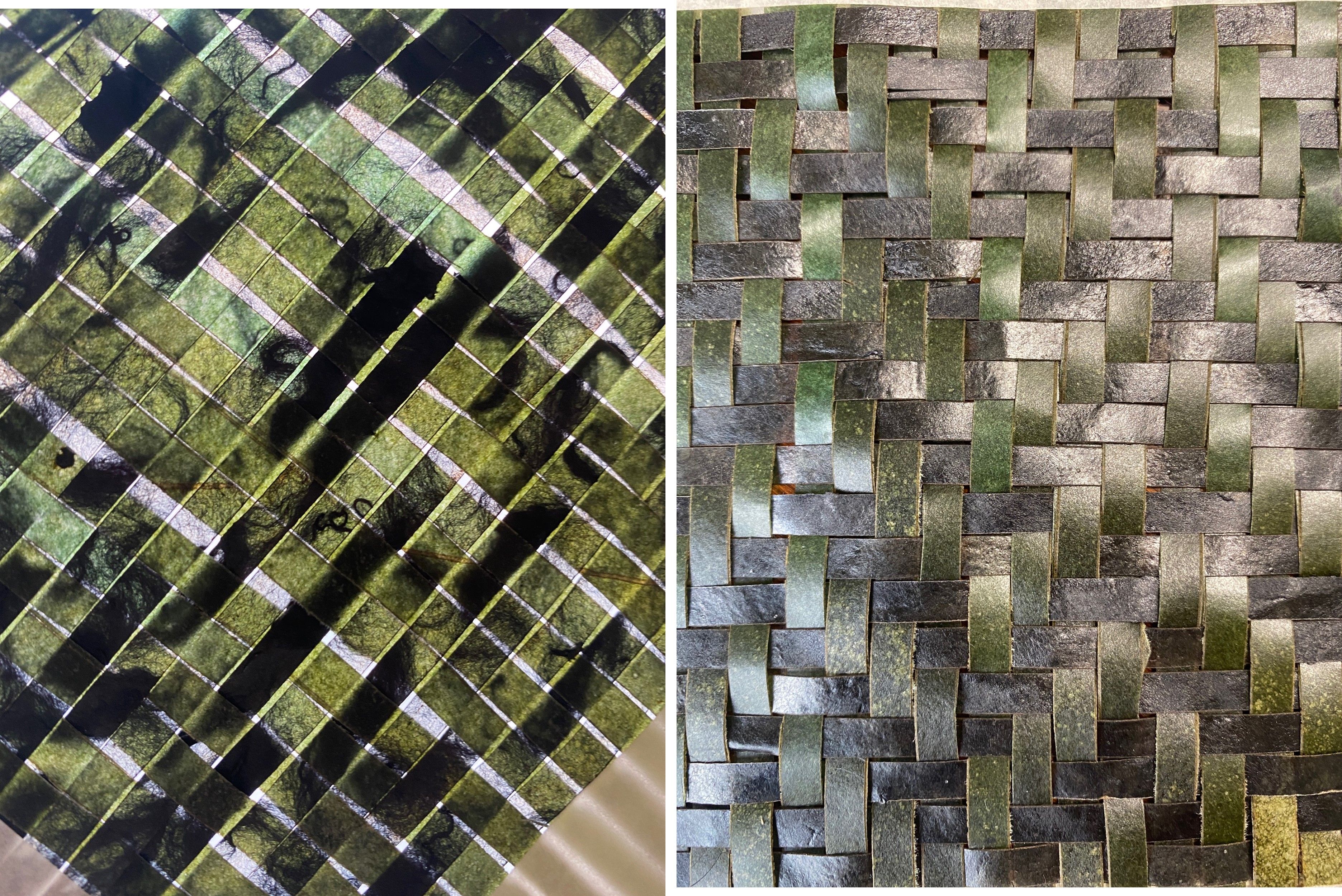 BIO TEXTILES